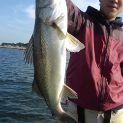 アマテラス 釣果