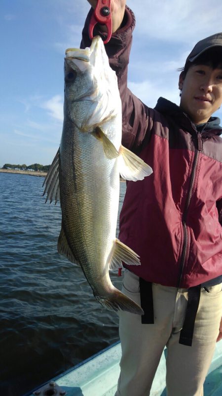 アマテラス 釣果