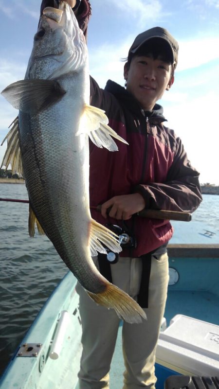 アマテラス 釣果