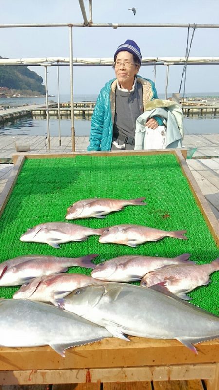 海の釣堀 海恵 釣果
