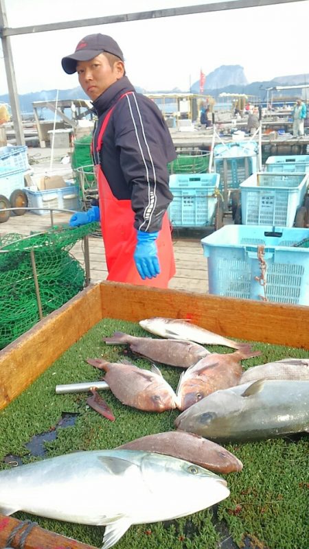 海の釣堀 海恵 釣果