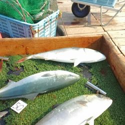 海の釣堀 海恵 釣果