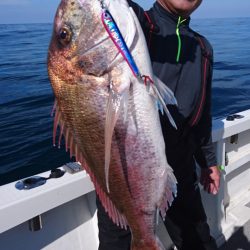 ARCADIAⅡ (アルカディアⅡ) 釣果