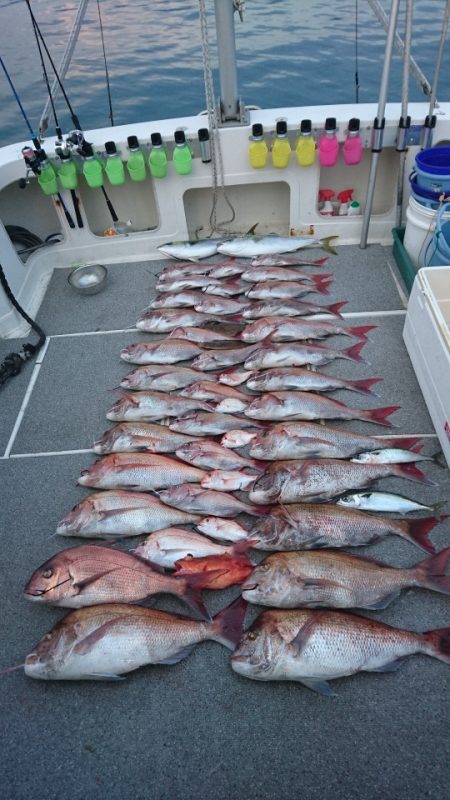 ARCADIAⅡ (アルカディアⅡ) 釣果