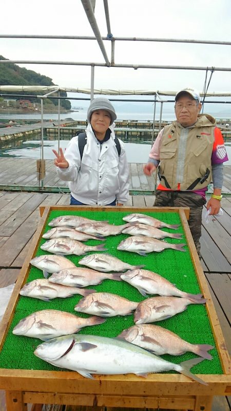 海の釣堀 海恵 釣果