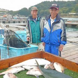 海の釣堀 海恵 釣果