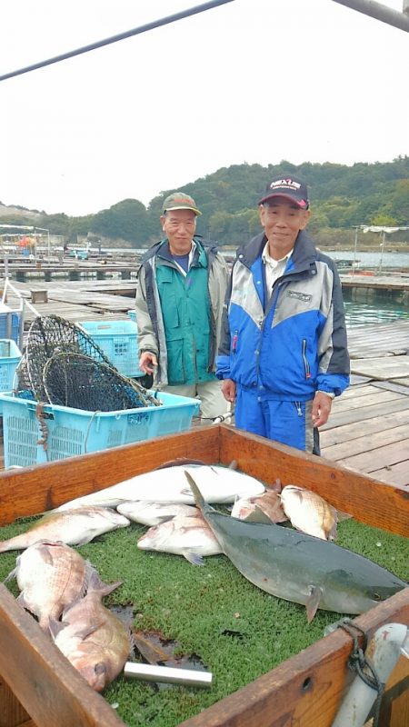 海の釣堀 海恵 釣果