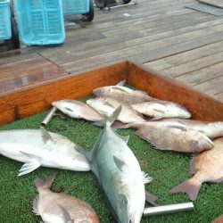 海の釣堀 海恵 釣果