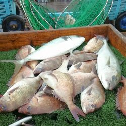 海の釣堀 海恵 釣果