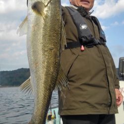 アマテラス 釣果