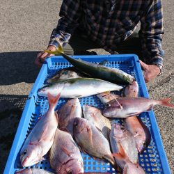 第三共栄丸 釣果