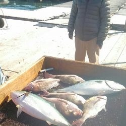 海の釣堀 海恵 釣果