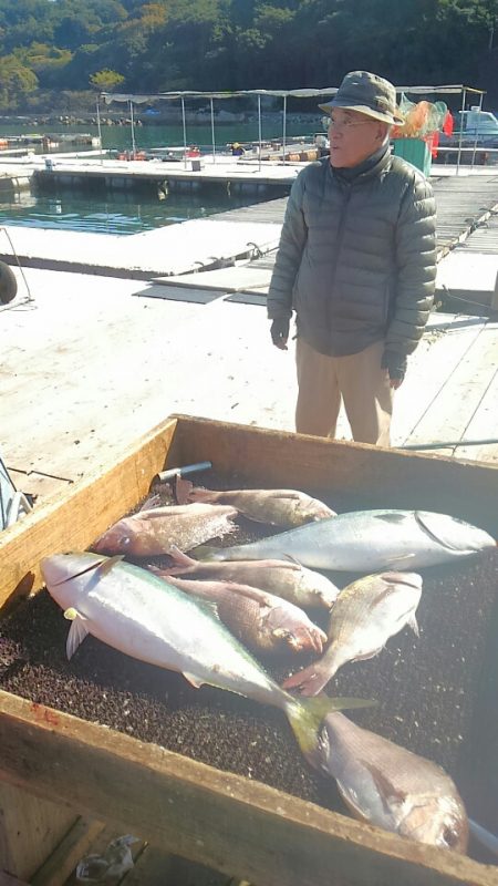 海の釣堀 海恵 釣果