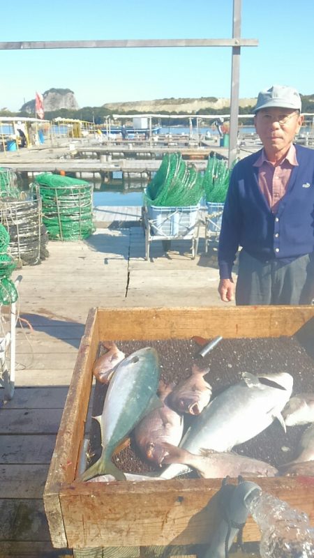 海の釣堀 海恵 釣果