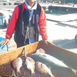 海の釣堀 海恵 釣果