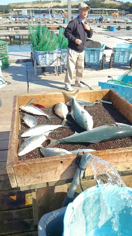 海の釣堀 海恵 釣果