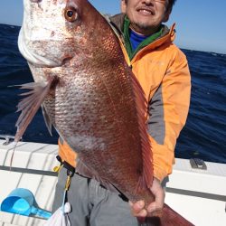 ARCADIAⅡ (アルカディアⅡ) 釣果