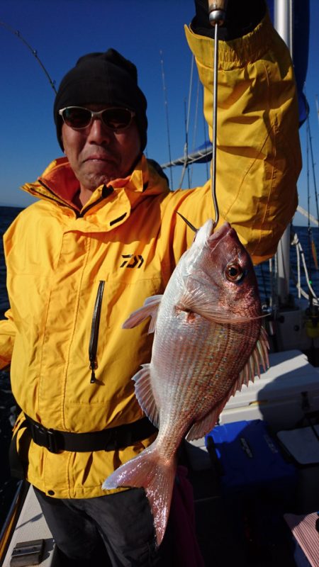 ARCADIAⅡ (アルカディアⅡ) 釣果