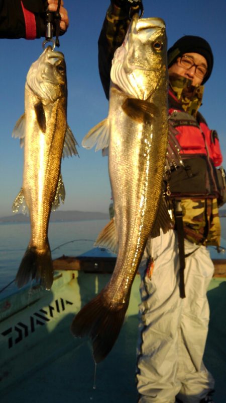 アマテラス 釣果