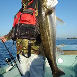 アマテラス 釣果