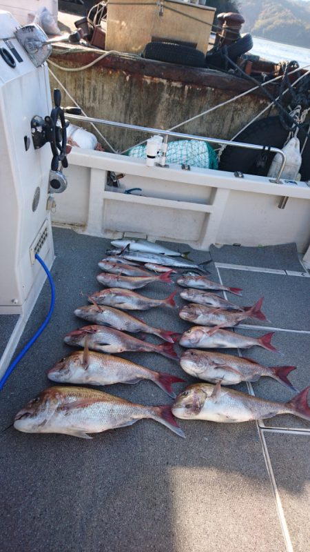 ARCADIAⅡ (アルカディアⅡ) 釣果