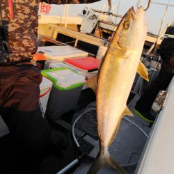 第二龍勢丸 釣果