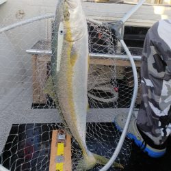 第二龍勢丸 釣果