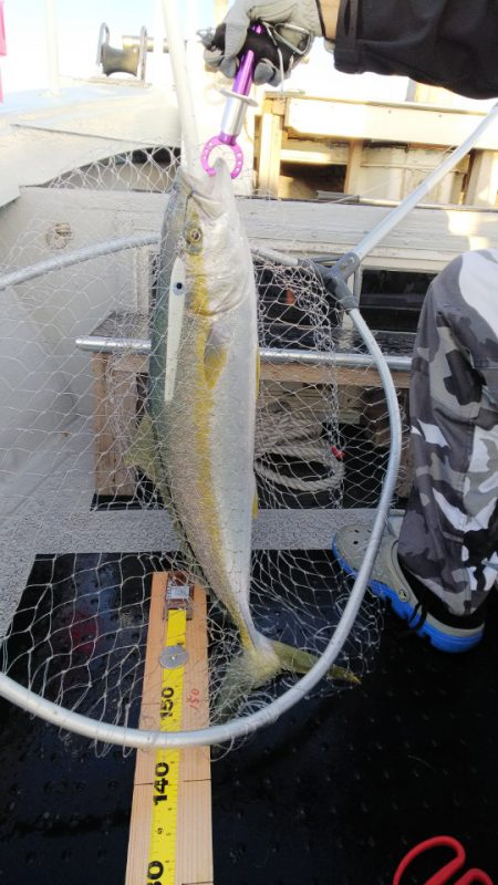 第二龍勢丸 釣果