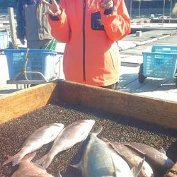 海の釣堀 海恵 釣果