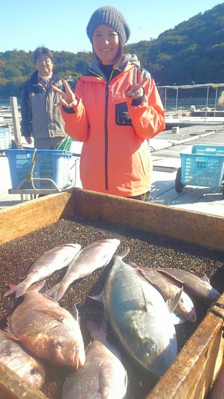 海の釣堀 海恵 釣果