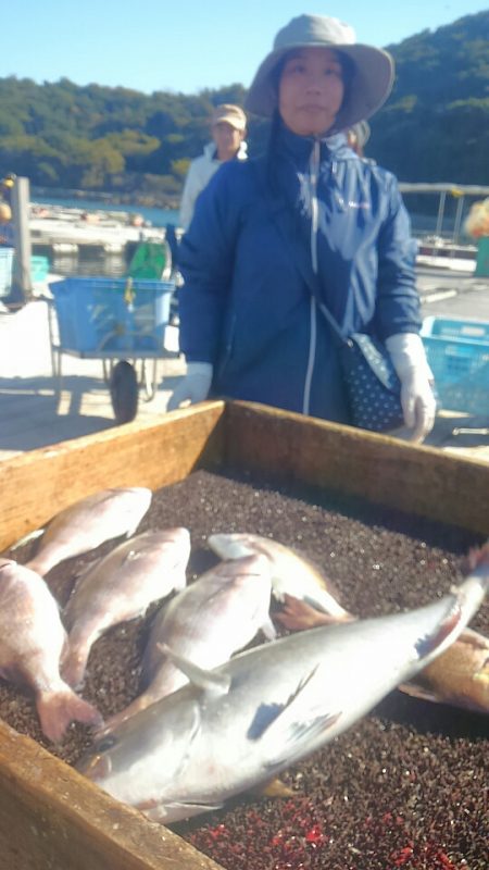 海の釣堀 海恵 釣果