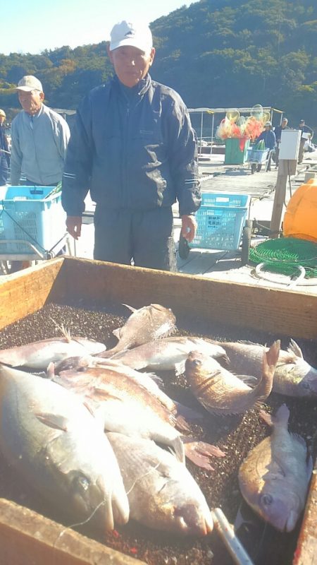海の釣堀 海恵 釣果