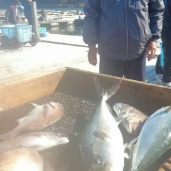 海の釣堀 海恵 釣果