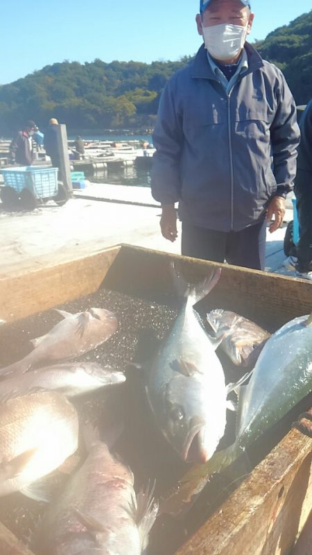 海の釣堀 海恵 釣果