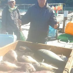 海の釣堀 海恵 釣果