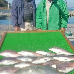 海の釣堀 海恵 釣果