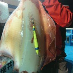 竹宝丸 釣果