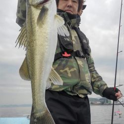 アマテラス 釣果