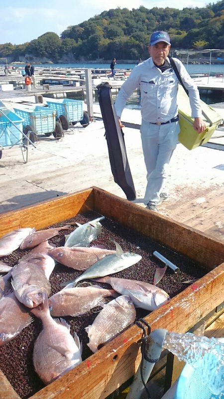 海の釣堀 海恵 釣果