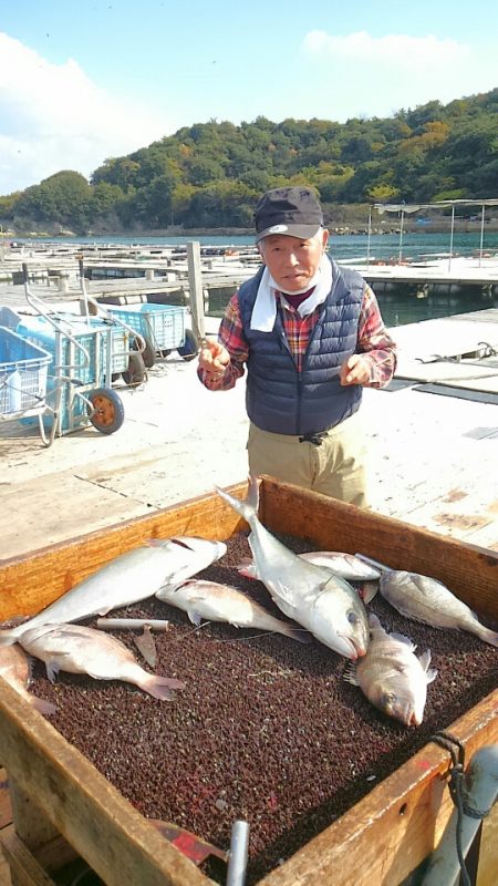 海の釣堀 海恵 釣果