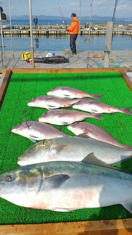 海の釣堀 海恵 釣果