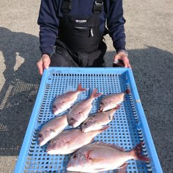 第三共栄丸 釣果