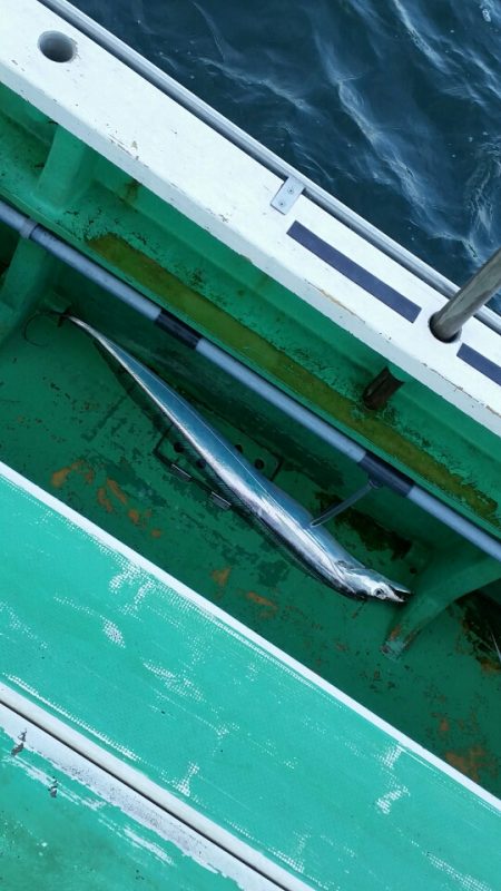 金沢八景鴨下丸 釣果