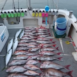 ARCADIAⅡ (アルカディアⅡ) 釣果