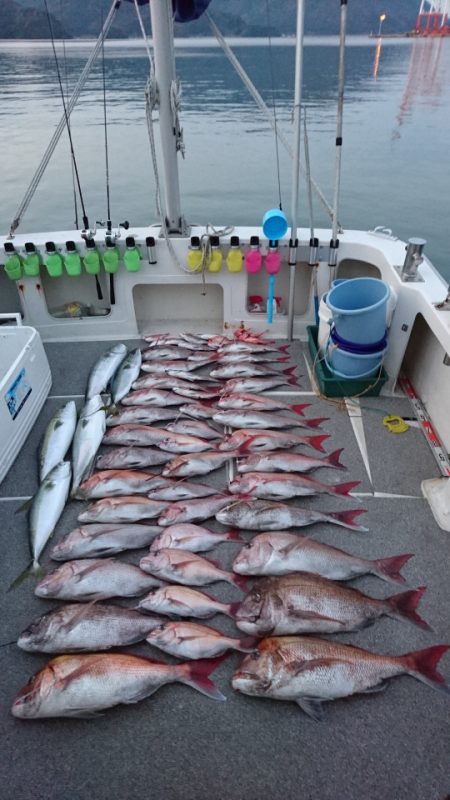 ARCADIAⅡ (アルカディアⅡ) 釣果