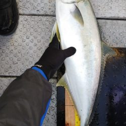 第二龍勢丸 釣果