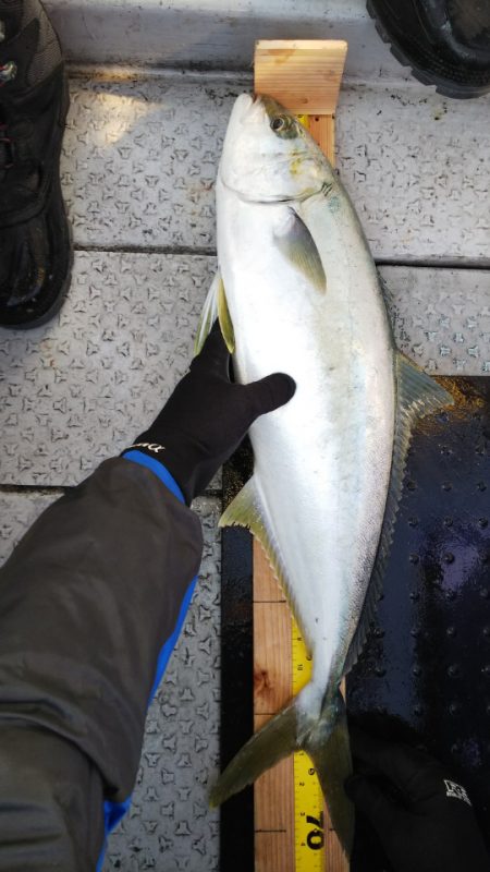 第二龍勢丸 釣果