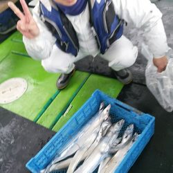 小島丸 釣果