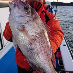 第三共栄丸 釣果