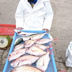 第三共栄丸 釣果